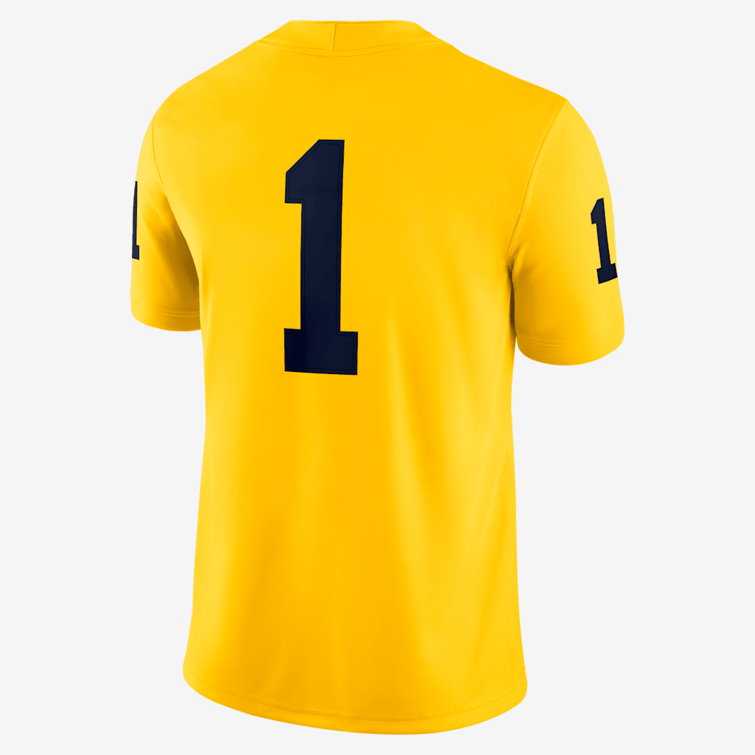 Michigan Wolverines - Image 2